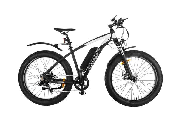 Big Boy 2S Ultra 2022 electric bike