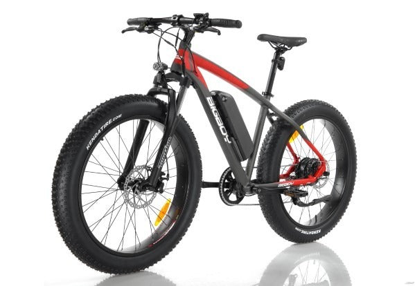 Big Boy 2S 2022 electric bike