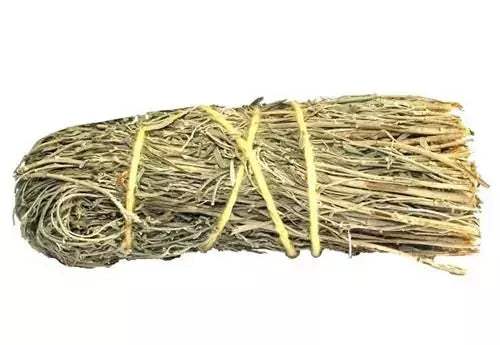 Incense bouquet - Green Tree - Copal