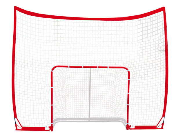 Hockey goal + background net